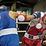 Galeria foto: Mistrzostwa Polski Juniorw w boksie w Lesznie