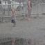 Galeria foto: Kurty wodna na leszczyskim Rynku