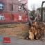 Galeria foto: Drzewo uszkodziło kamienicę w centrum Leszna
