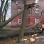Galeria foto: Drzewo uszkodziło kamienicę w centrum Leszna
