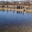 Galeria foto: Noworoczna kpiel morsw w Osiecznej
