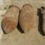 Galeria foto: Bomby znalezione w lesie pod Gostyniem