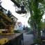 Galeria foto: Ciarwka staranowaa drzewo w Gostyniu