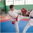 Galeria foto: VIII Zawody w Karate Dzieci i Młodzieży