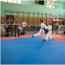 Galeria foto: VIII Zawody w Karate Dzieci i Młodzieży