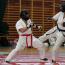Galeria foto: I Międzynarodowy Turniej Seibudokai Karate Leszno