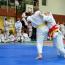 Galeria foto: X Rawicki Turniej Judo
