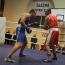 Galeria foto: Liga młodziezowa w boksie