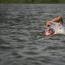 Galeria foto: VI Maraton Pływacki w Cichowie