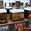 Galeria foto: Pajki, skorpiony i modliszki w galerii Cuprum Arena w Lubinie 