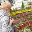 Galeria foto: Festiwal kwiatw i rolin w Lubinie